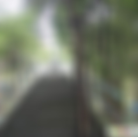 浙江宁波黄贤百鸟园景点介绍1