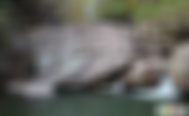 浙江温州乌岩岭飞来瀑景点介绍1