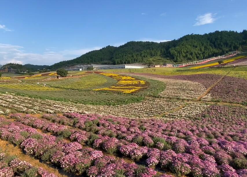 浙江杭州白水涧龟王醉酒景区景点介绍1