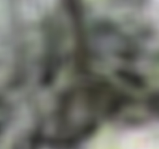 浙江杭州垂云通天河困龙峡景点介绍1