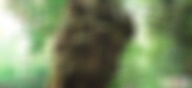 浙江绍兴柯岩鲁镇雕塑牌坊景点介绍1