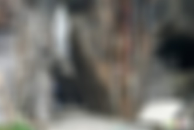 浙江嘉兴梅花洲麒麟南北院景点介绍1