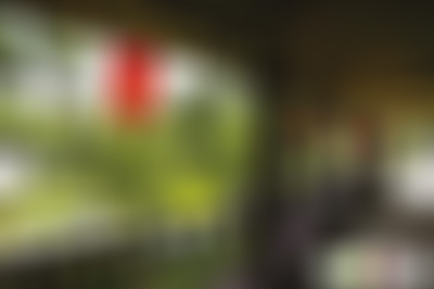 浙江温州永昌堡联芳桥景点介绍1