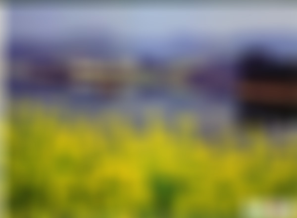 浙江杭州富春桃源三家村景点介绍1