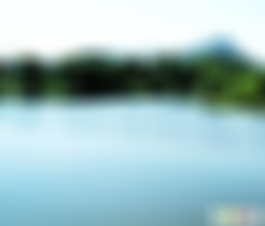 浙江杭州神龙川神农台财神殿景点介绍1