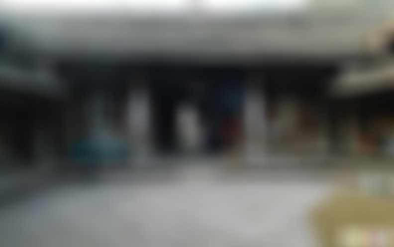 浙江丽水百山祖烟雨长廊景点介绍1