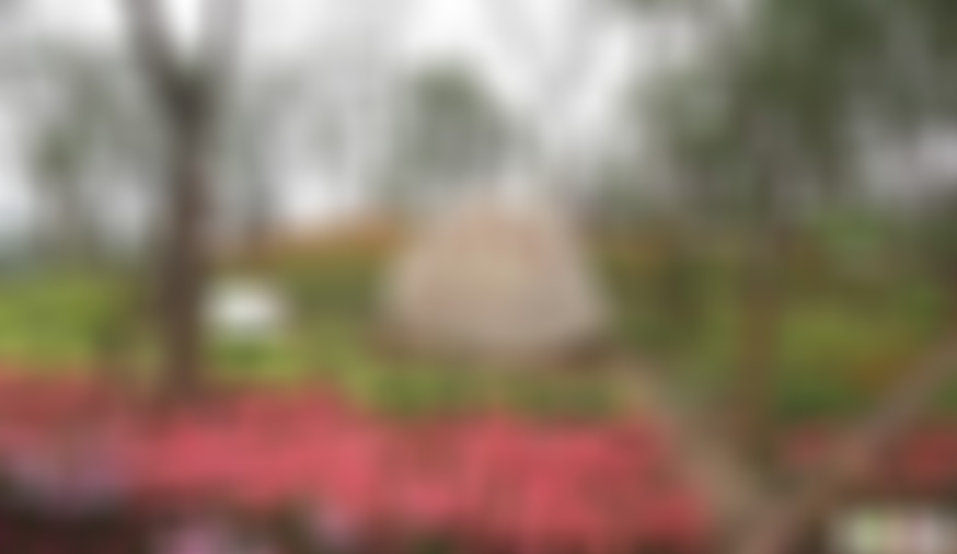 浙江台州赤城山中日友谊林景点介绍1