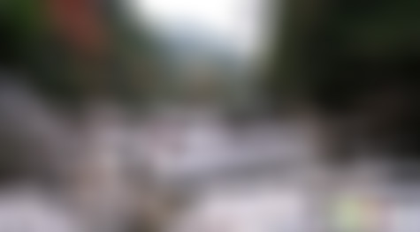 浙江丽水百山祖长寿石景点介绍1