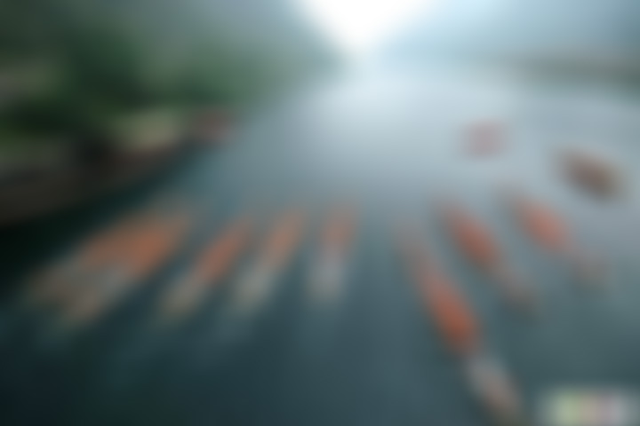 浙江杭州龙门古镇积善堂景点介绍1