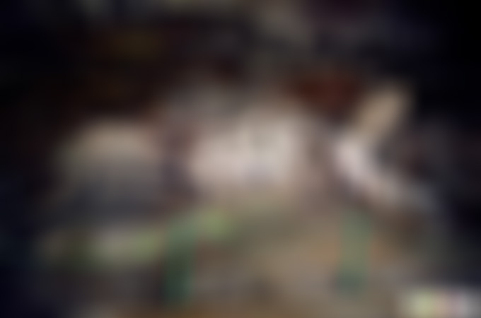 浙江丽水百山祖清风廊景点介绍1