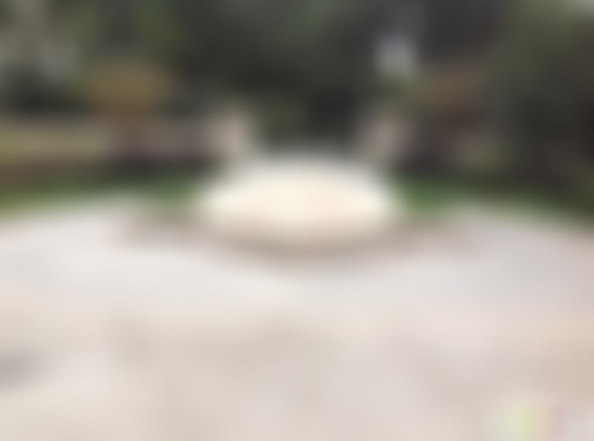 浙江温州乌岩岭凤蝶桥景点介绍1