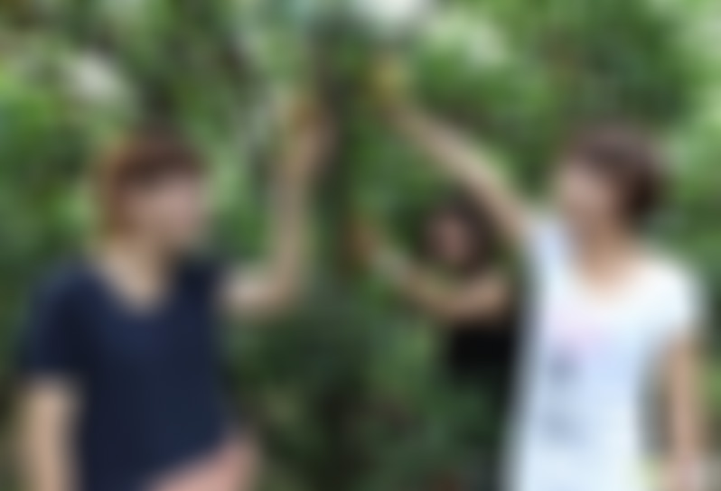 浙江宁波滕头采摘基地景点介绍1