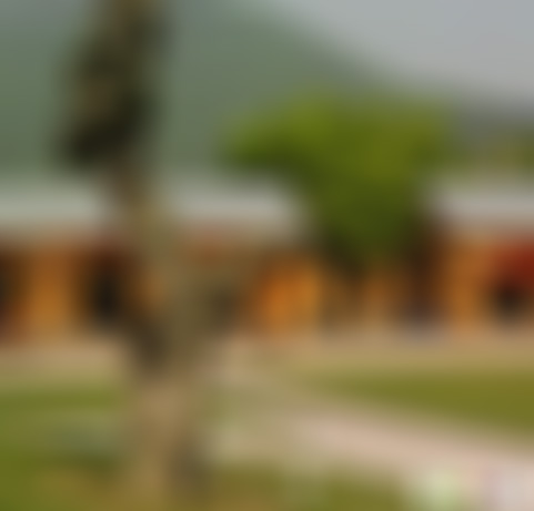 浙江绍兴会稽山禹庙景点介绍1