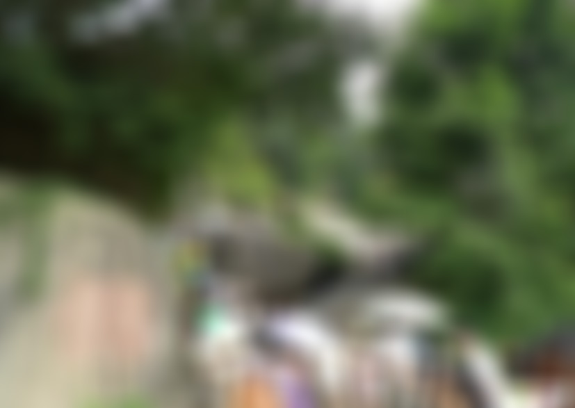 福建南平天成奇峡鸡冠山景点介绍1