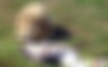 浙江绍兴西施故里古越文化区景点介绍1