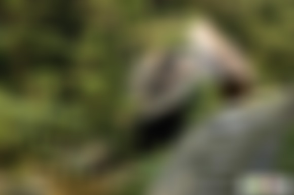 福建南平和平黄氏大夫第景点介绍1