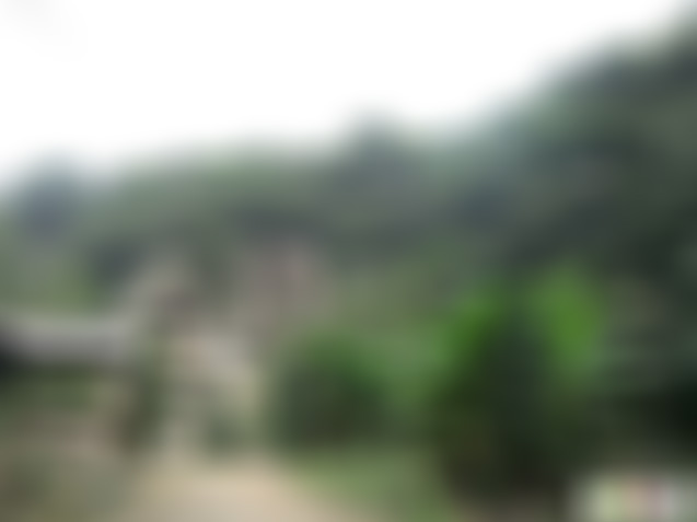 浙江绍兴七盘仙谷之仙踪谷景点介绍1