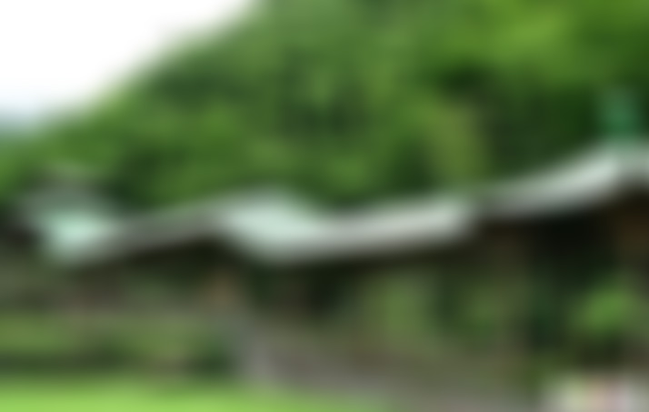 浙江湖州中国大竹海竹海长廊景点介绍1