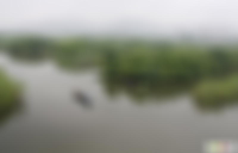 浙江舟山普陀山听潮石景点介绍1