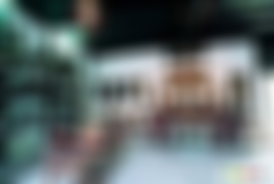 浙江嘉兴西塘古镇明清木雕馆景点介绍1