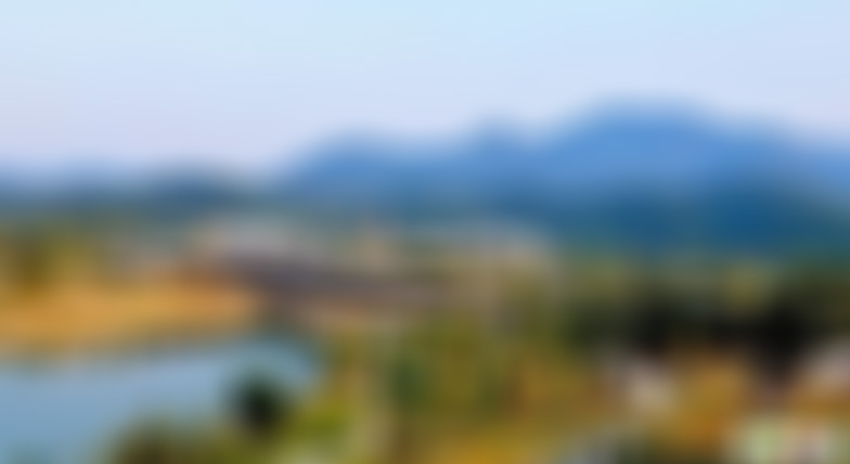 浙江杭州西溪河渚塔景点介绍1