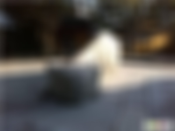 浙江舟山西天青牛石景点介绍1