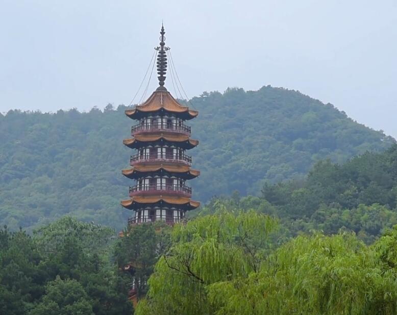 浙江湖州竹博园小熊猫馆景点介绍1