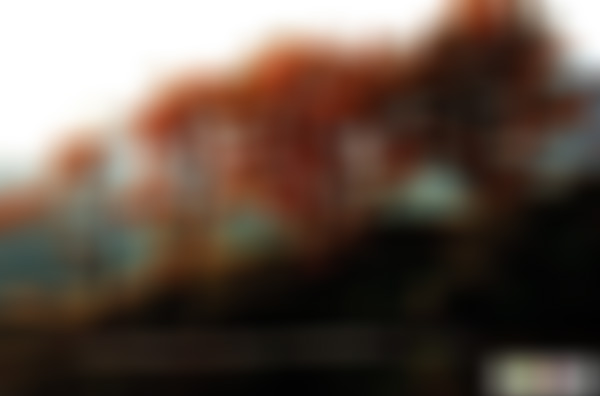 浙江温州红枫古道猫狸擂岭景点介绍1