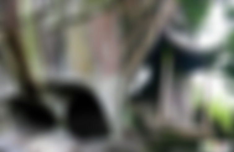 浙江绍兴柯岩鉴湖南洋秋泛景区景点介绍1