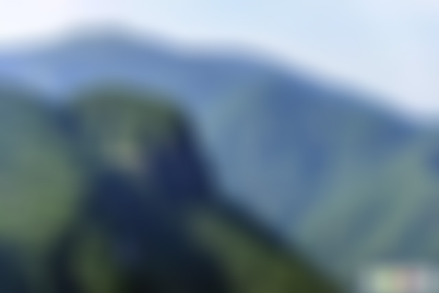 浙江丽水龙泉山绝壁奇松景区景点介绍1