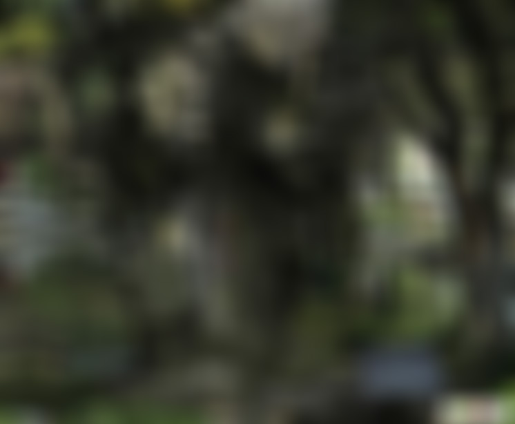 浙江宁波天宫庄园插画艺术博物馆景点介绍1