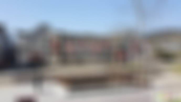 浙江金华新光村(历史文化名村)景点介绍1