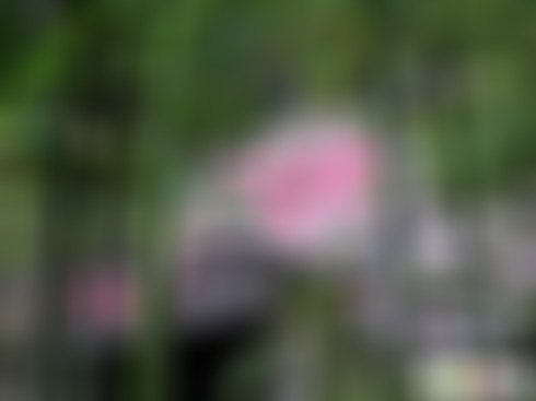 浙江杭州都锦生织锦博物馆景点介绍1