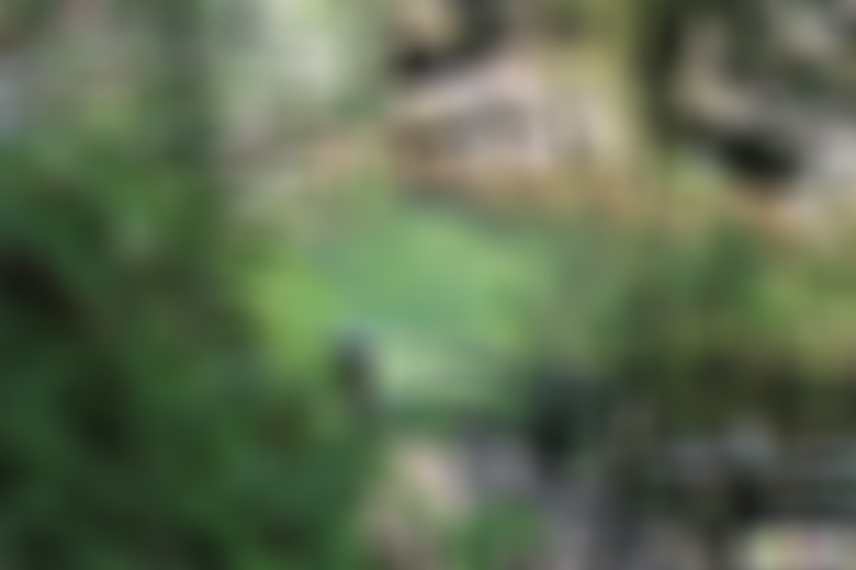 浙江温州乌岩岭飞云谷壶穴奇观景区景点介绍1