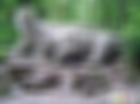 浙江杭州西湖虎跑梦泉景区景点介绍1