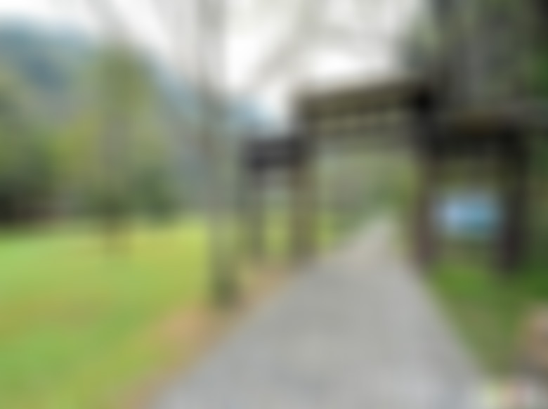 浙江绍兴五泄西源峡谷景点介绍1