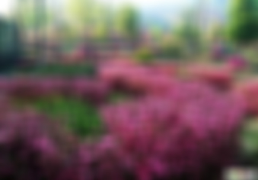 浙江温州九峰中共浙南特委成立旧址景点介绍1