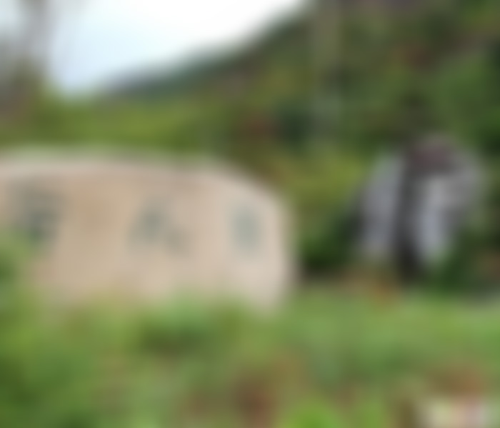 浙江嘉兴盐官观潮陈阁老宅景点介绍1