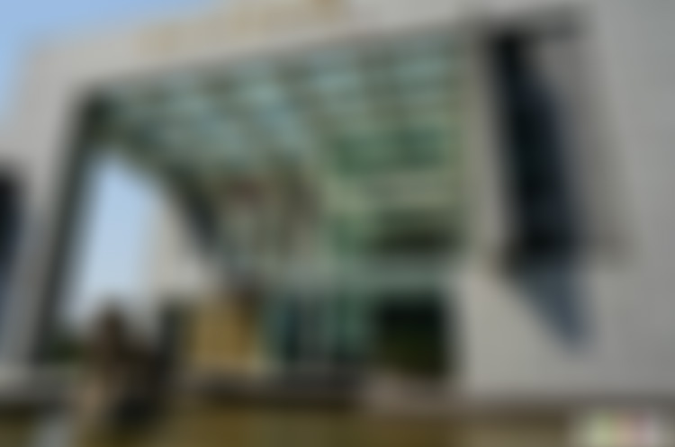 浙江宁波紫林坊艺术馆(民办)景点介绍1