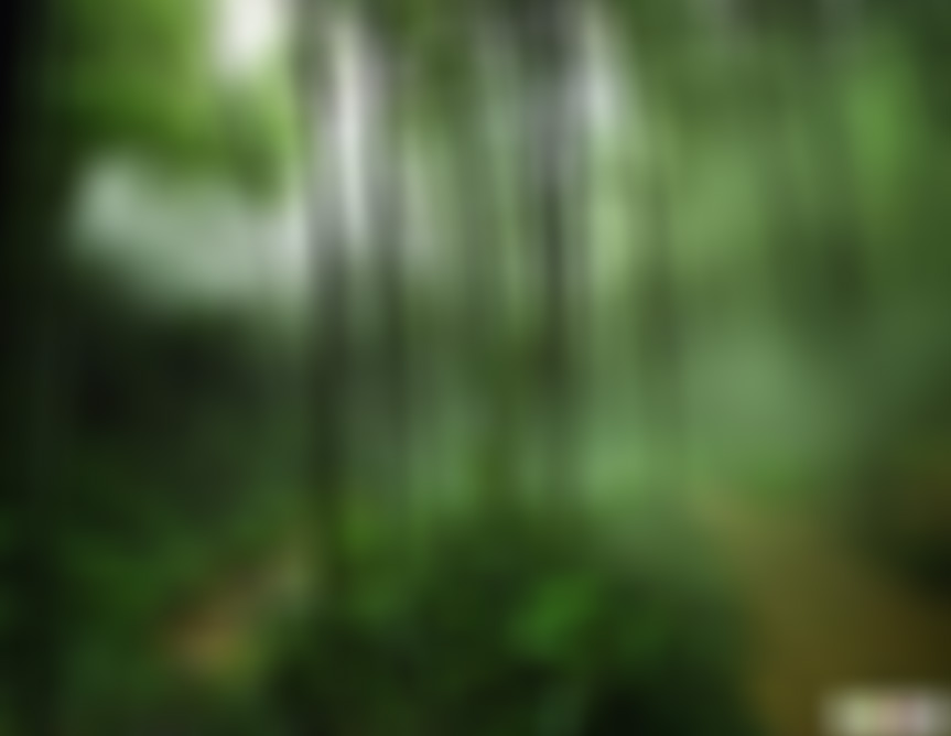 浙江台州天台山石梁飞瀑景点介绍1