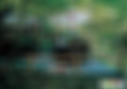 浙江杭州千岛湖森林氧吧景区景点介绍1