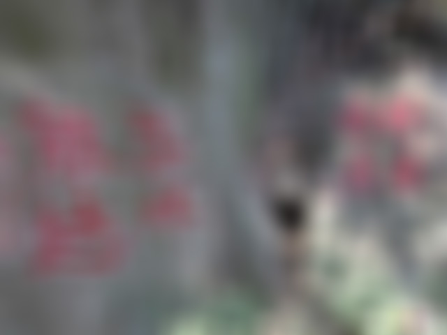 浙江杭州天目山太湖源景区景点介绍1