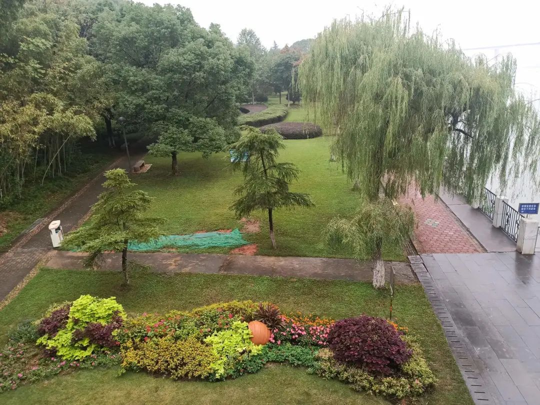 浙江绍兴沃洲湖太岁殿景点介绍1