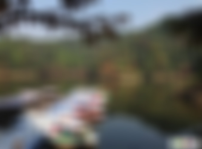 浙江杭州千岛湖龙川湾景点介绍1