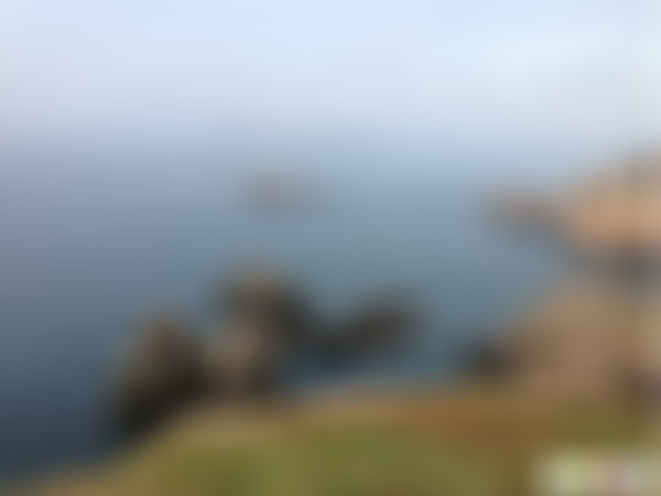 浙江丽水青田绿谷伯温生态茶业观光园景点介绍1