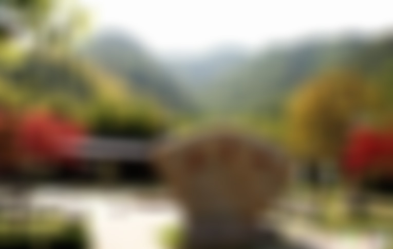 浙江宁波东钱湖水上花园景点介绍1