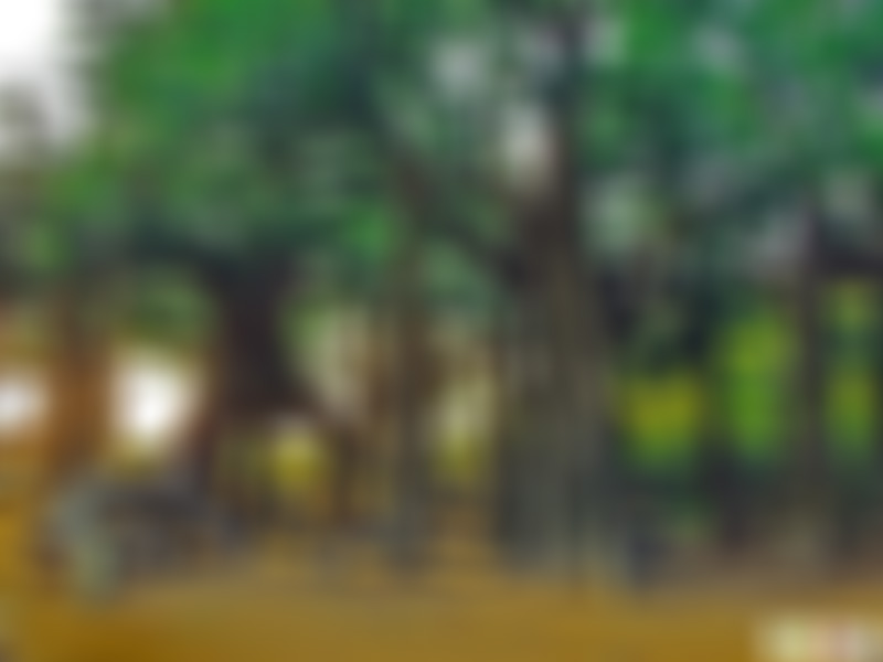 浙江衢州廿八都文昌阁景点介绍1