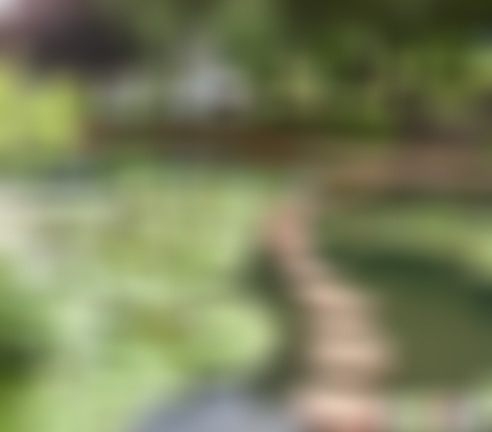 浙江湖州中国大竹海五女湖景点介绍1