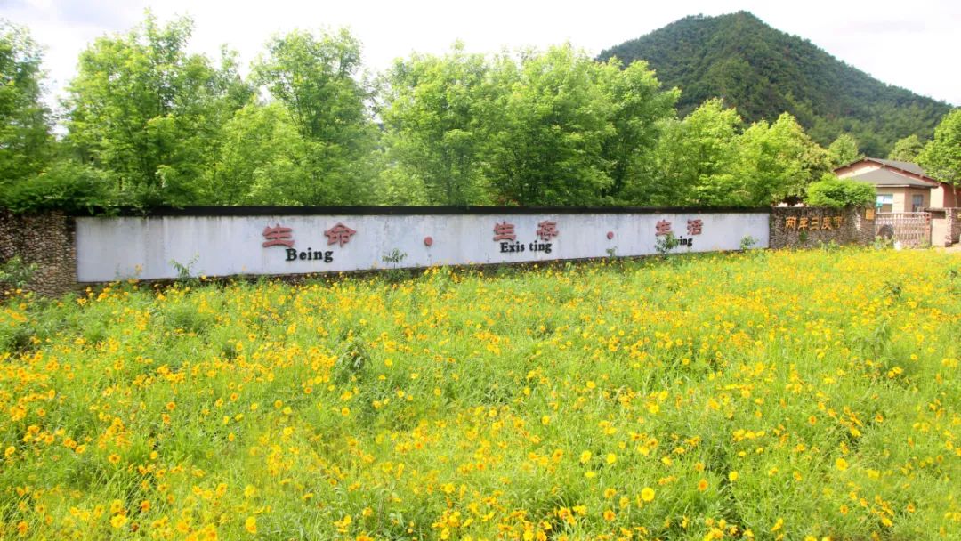 浙江台州柔川两岸3°营地景点介绍3