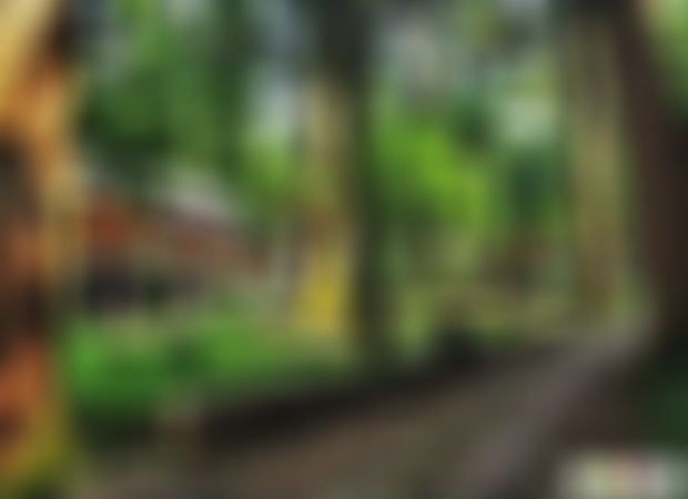 浙江杭州西湖岳墓栖霞(岳王庙)景点介绍1